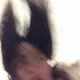 Image for article titled Japanese Selfie Trend Will Leave You Shaking Your Head